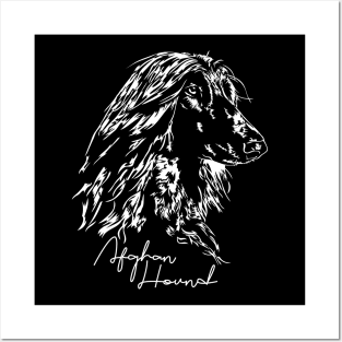 Afghan Hound lovely dog portrait Posters and Art